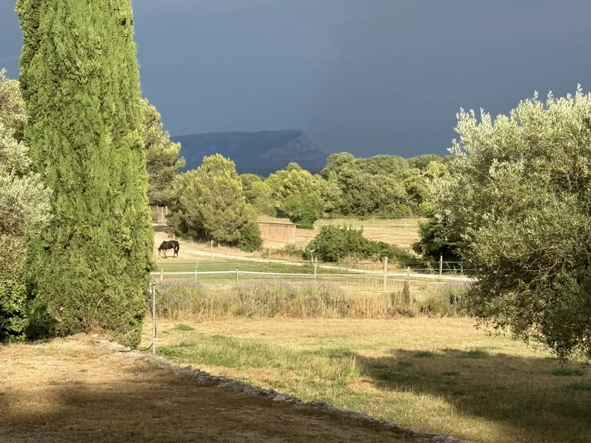 Villa La Source Vue incroyable sur la montagne Sainte-Victoire et le Haras des Templiers depuis la bastide à vendre à Aix-en-Provence, à Puyricard