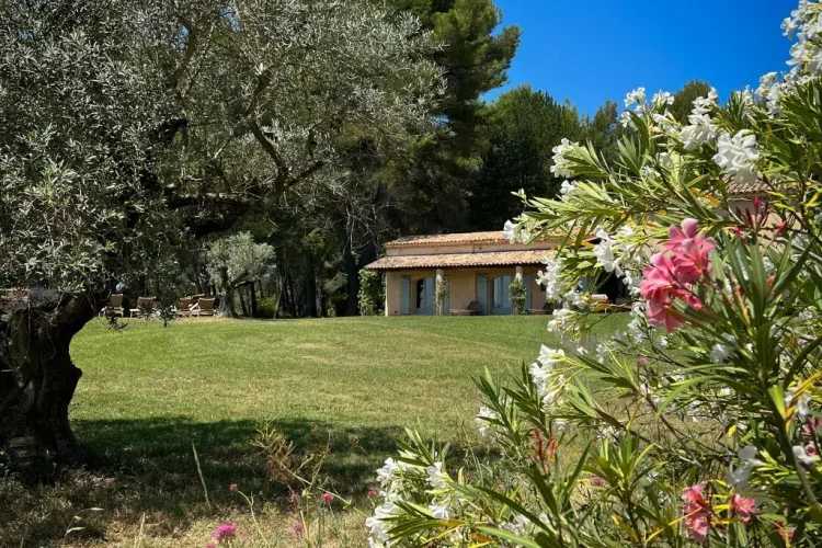 vacances-villa-aix-en-provence-jardin-oliviers location maison vacances aix en provence