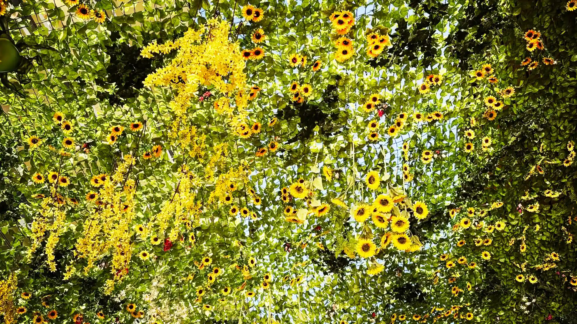 marches Aix-en-Provence decoration tournesols ete Provence Villa La Source